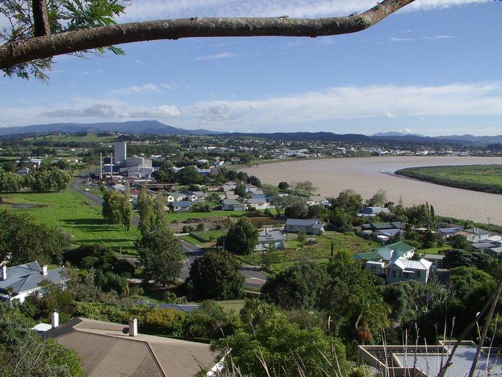 About Dargaville About Dargaville