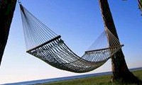 Where to Stay in Dargaville Where to Stay in Dargaville