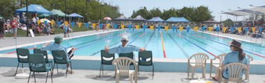 Dargaville pool