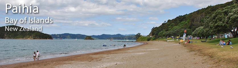 Health Services in Paihia