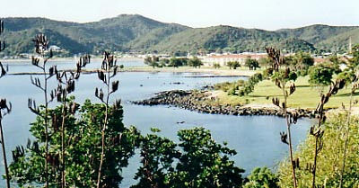 Some of the coastline between Paihia and Waitangi