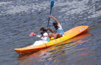 Kayaking around Haruru Falls