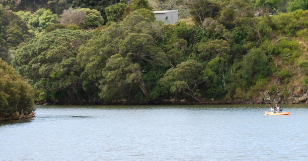 Kayaking on the Haruru Falls river