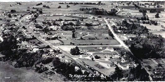 Te Kopuru taken from the air