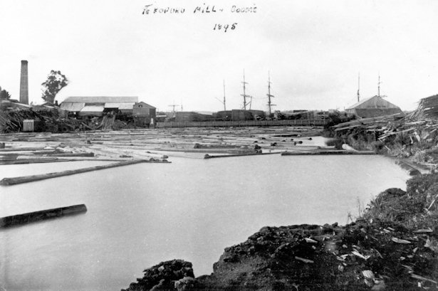 Te Kopuru Mill in 1895