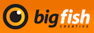 Big Fish Logo