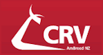 CRV Logo